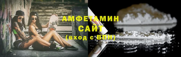 гидра Бородино