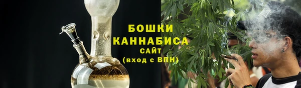 гидра Бородино