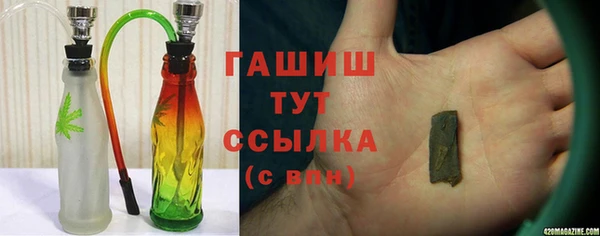 гидра Бородино