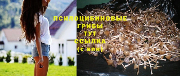 эйфоретик Бугульма