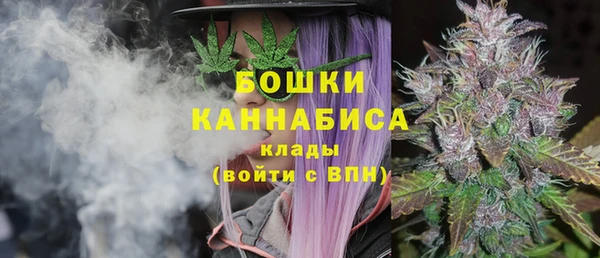 гидра Бородино