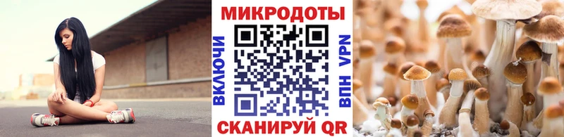 наркота  это какой сайт  Псилоцибиновые грибы прущие грибы  Славянск-на-Кубани 